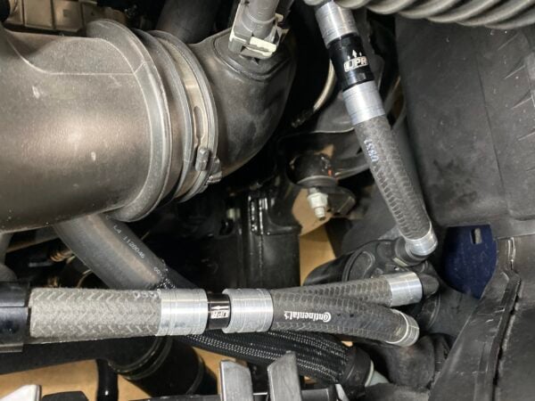 IMG-6091-scaled IMG-6091-scaled