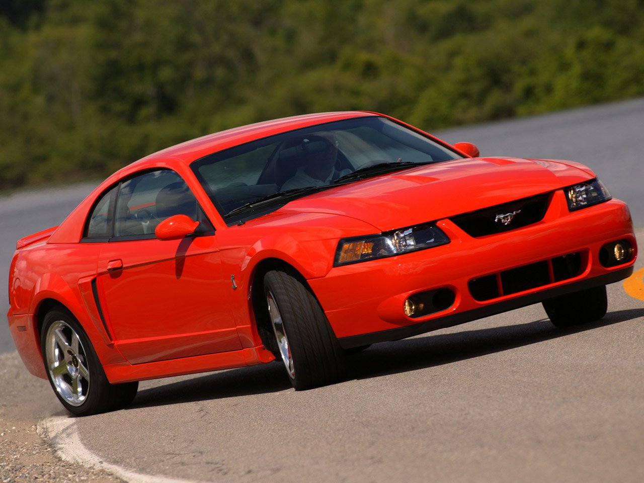 2003-2004 Mustang